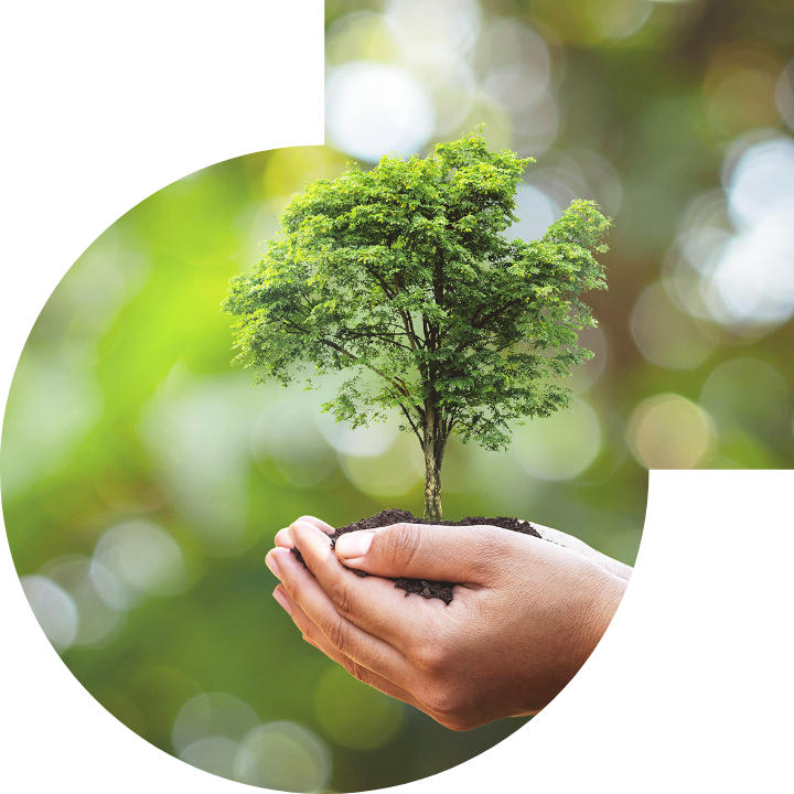 关怀人类、文化、环境与社会